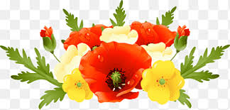 Simpatico criceto e un pezzo di formaggio. Fiori Realistici Png Pngegg