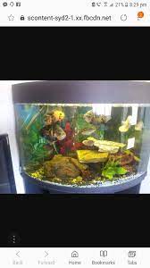 This Tank Is Grossly Overstocked Fish Tank Coffee Table Vintage Fishing Retro Mid Century