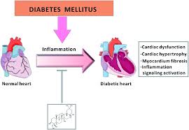 Treatment with medications is prescribed to relieve the inflammatory process in the. Anti Inflammatory Effects Of Hederagenin On Diabetic Cardiomyopathy Via Inhibiting Nf Kb And Smads Signaling Pathways In A Type 2 Diabetic Mice Model Rsc Advances Rsc Publishing Doi 10 1039 C9ra02043h