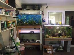 Now i'm beginning to fret about the amount of weight on the floor. Weight Distribution Of Aquarium On Shelving Monsterfishkeepers Com
