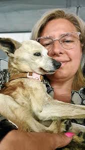 Tras la pandemia, El Arka de Tía Vivi, con más perros que nunca l Solidart,  objetivo más que cumplido