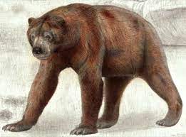pin on ice age extinct fauna