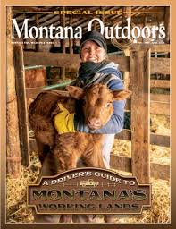 2013 14 Montana Basketball Yearbook by University of Montana Athletics