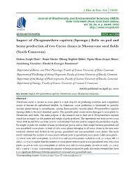 Image result for Phragmanthera capitata