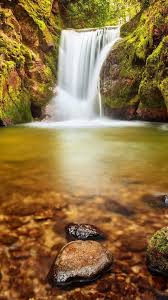 Hd nature wallpapers step into peaceful woods, towering mountains, and deserts, all from your desktop! Hd Wallpapers Nature Portrait Mode High Quality Hd Wallpapers Nature