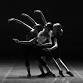 Crown Ballet: Swan Lake event image