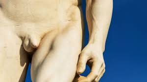 Les représentations de pénis nont cessé de changer de taille dans  lhistoire de lart - RTBF Actus