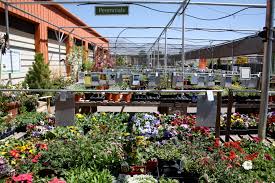 Maybe you would like to learn more about one of these? Flowers And Flowering Plants Field Trip To High Country Gardens Albuquerque Good To Grow
