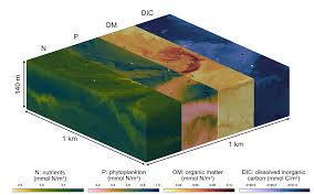 In this simulation of baroclinic instability in the Eady problem ...