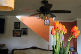 Get well flowers and gifts. Flowers For Get Well Soon Gifts Blogs Flowerama Waterloo