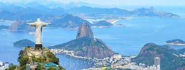 Image result for Brazzeia