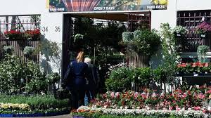 Check spelling or type a new query. The Best Places To Buy And Order Plants In Sydney Concrete Playground