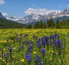 Find the best campgrounds & rv parks near east glacier park, montana. East Glacier Scenic Drive Treasures Outside Glacier National Park Roads Less Traveled Glacier National Park National Parks Scenic Drive