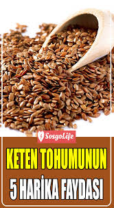 Keten Tohumunun Sagliga Saca Ve Cilde Faydalari Tohum Diyet Gida
