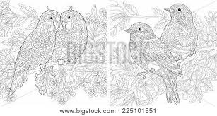 Over 65,505 adult coloring pictures to choose from, with no signup needed. Coloring Page Adult Vector Photo Free Trial Bigstock