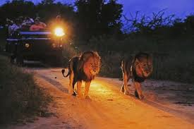 Rao Tours & Safaris LTD | Tarangire National Park is located in the  northern part of Tanzania just a few hours' drive from Arusha town. The  national park is one of... | Instagram