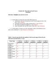 World's largest library of math & science simulations. The Cell Cycle And Cancer Worksheet Virtual Lab The Cell Cycle And Cancer Worksheet Directions Highlight Your Answers In Red 1 In Which Phase Of Course Hero