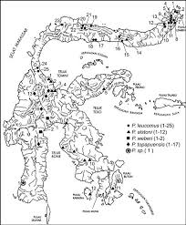 See more of maraten constructions sdn bhd on facebook. Systematic Review Of Endemic Sulawesi Squirrels Rodentia Sciuridae With Descriptions Of New Species Of Associated Sucking Lice Insecta Anoplura And Phylogenetic And Zoogeographic Assessments Of Sciurid Lice