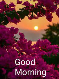 Morning is the period from sunrise to noon. Good Morning Greetings Latest Good Morning Images Good Morning Gif Good Morning Greetings