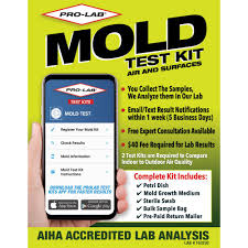 Pro Lab Mold Test Kit Mo109 The Home Depot