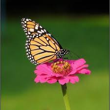 Judith Ann Joslin Obituary February 27, 2020