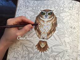 Secret Garden Owl S Coloring With Colored Pencils Secret Garden Coloring Book Secret Garden Coloring Book Finished Gardens Coloring Book