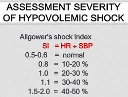 Image result for Shock Index