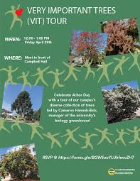 UCSB Sustainability hosts Very Important Trees (VIT) tour this Friday