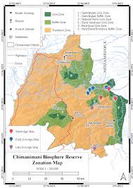 Image result for Sericanthe chimanimaniensis