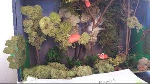 Red Panda Diorama Red Panda Rainforest Project Animal Projects