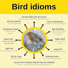 Pin By Tim Tsoi On Idiomas In 2020 English Idioms Conversational English English Vocabulary Words
