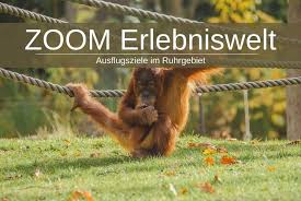 Zoom erlebniswelt + join group. Zoom Erlebniswelt Gelsenkirchen Erlebnisbericht Infos