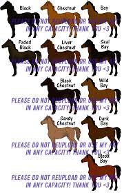 There are variations of buckskin, such as dusty buckskin, golden buckskin, silvery buckskin, sooty buckskin, and yellow buckskin. The Complete Coat Color Guide By Flamestorm11 On Deviantart