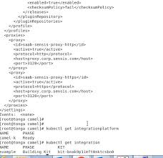 Essentially, a route is an instruction to camel on how messages should move from one point to another. Camel K Installation Struggles Issue 1059 Apache Camel K Github