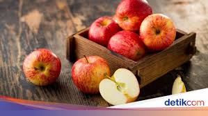 Karena itu, anda bisa memanfaatkan buah untuk mengobati masalah sembelit pada anak. 9 Makanan Pelancar Bab Yang Bikin Plong