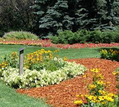 We have a diverse culture of opportunity in our own back yard; Mccrory Gardens