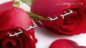 pin by fazia amir on فطومة فتون made