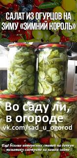 салат из огурцов на зиму без стерилизации зимний король Salat Iz Ogurcov Na Zimu Zimnij Korol Food Cooking Recipes