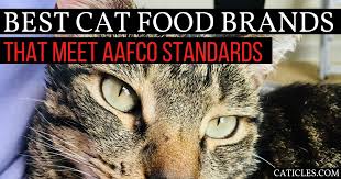 This raw cat food recipe from stella & chewy's mixes two proteins: Aafco Approved Cat Food Brands Don T Exist Here S Why
