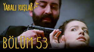 Yarali Kuslar 53 Bolum Youtube 2020 Youtube Kus Babalar