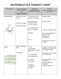 Macromolecule Summary Chart