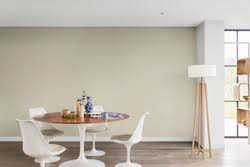 As for the pillows, go with as little or as much colour as you like. Fossil Grey Dulux
