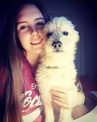 Top Doggy Daycare in Far Hills with Best Prices