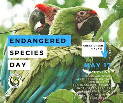 Endangered Species Day 2019 Endangered Plants Endangered Endangered Animals