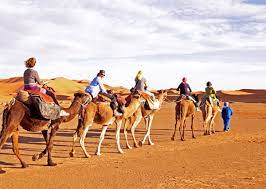 A vehicle powered by electricity and running on rails laid in a public road. Is Camel Riding Ethical How To Have A Cruelty Free Camel Riding Experience