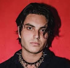 Amo a Samuel Larsen y a GLEE