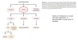 Learn vocabulary, terms and more with flashcards, games and other only rub 193.34/month. Pathophysiology Of Acute Renal Failure In Flow Chart Bambu