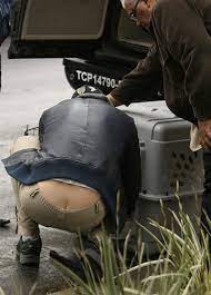Anyone Else Want To See Bradley Cooper's Ass Crack? - Today's Evil Beet  Gossip – Today's Celebrity Gossip From Evil Beet Gossip