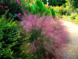 This type of flower, it does look normal, and does not require treatment, such as watering it, as we know, grass can grow anywhere, but we do not pay attention, that grass. 12 Best Ornamental Grasses For Your Landscape