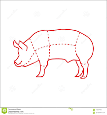 Pig Meat Chart Vector For Butchers Stock Vector